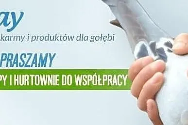 Artykuły/Produkty dla gołębi, Toruń