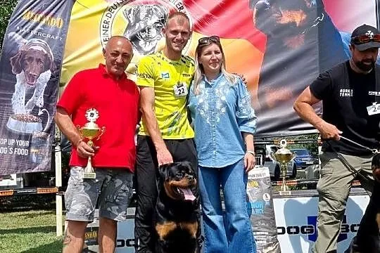 Rottweiler samiec, Małopolskie, Smyków