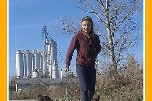 Mikropsy,dwie małe 4 kg suczki PAPILONKI do wspóln