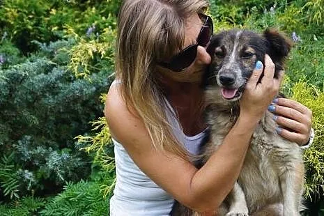 Misio gotowy do adopcji aktualne,  Kundelki cała P