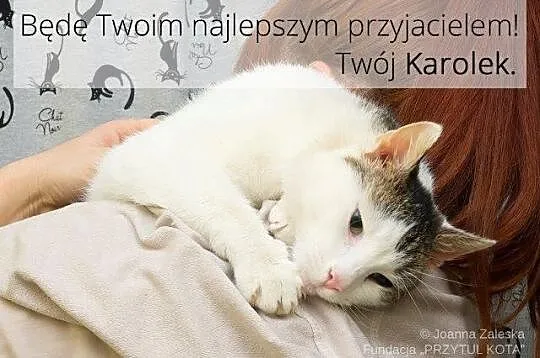 Karolek – ofiara ludzkiej obojętności