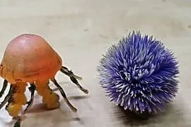 Meduza , Nurek , roślina ,2 szt muszli do akwari