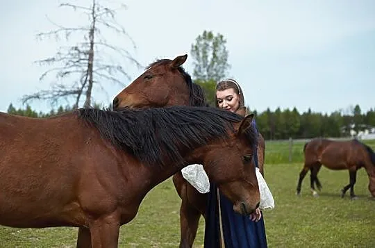 Dolli, klacz 2 letnia po matce Małopolce starego typu , ojciec AQH, , Jedlicze