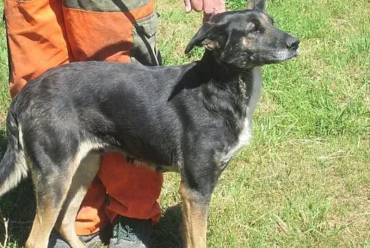 Bezproblemowa, niekonfliktowa, kochająca dzieci  E