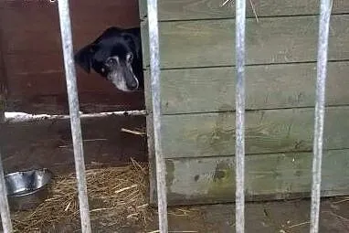 Filipek szuka pilnie kochającego i odpowiedzialneg