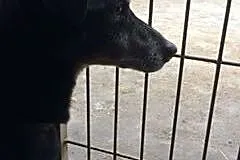 Filipek szuka pilnie kochającego i odpowiedzialneg