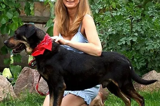 Przyjazny, bezkonfliktowy Niko, przepiękny, dostoj