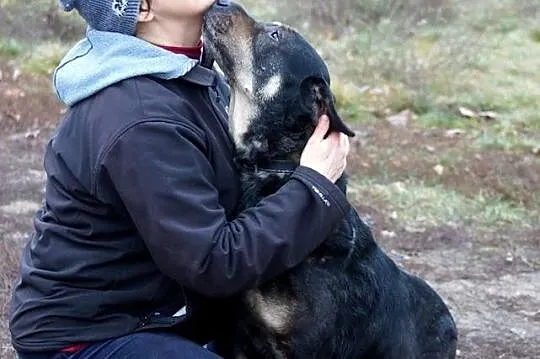 Przyjazny, bezkonfliktowy Niko, przepiękny, dostoj