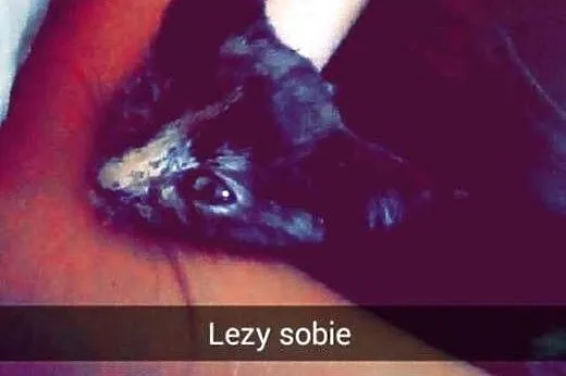 Mia szuka kochającego domu!,  dolnośląskie Jelenia