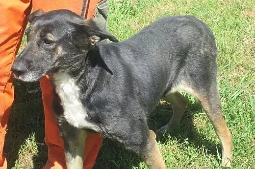 Bezproblemowa, niekonfliktowa, kochająca dzieci  E