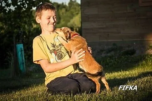 Finka i Fifka - dwie śliczne siostrzyczki :),  war