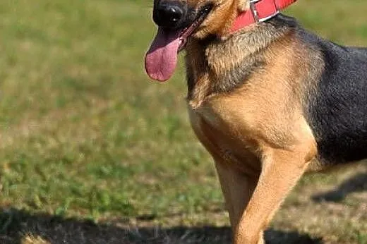 Uszata, cuuuuuudna Wilma :),  warmińsko-mazurskie 