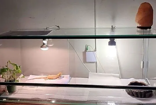 Terarium z oświetleniem matą grzewczą i termostatem