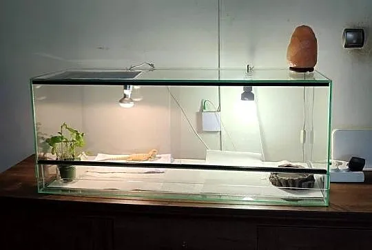 Terarium z oświetleniem matą grzewczą i termostatem, Śląskie, Zabrze