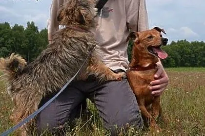 Czy schronisko to miejsce dla tak maleńkiej kruszy