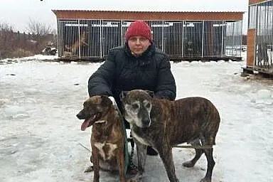 Laura - psia seniorka, łagodna i szukająca kontakt
