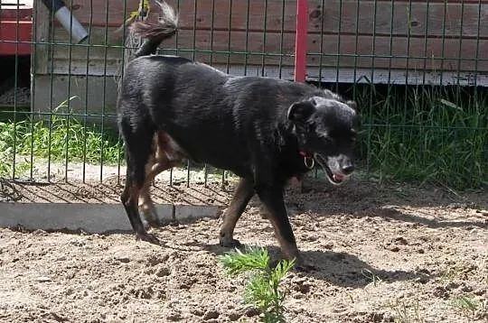 Zmień życie Dziamdziaka vel. Lubiego i podaruj mu 