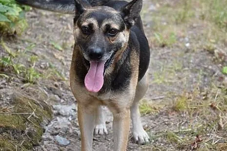 Maja, sunia niepotrzebna nikomu, najcudowniejszy p