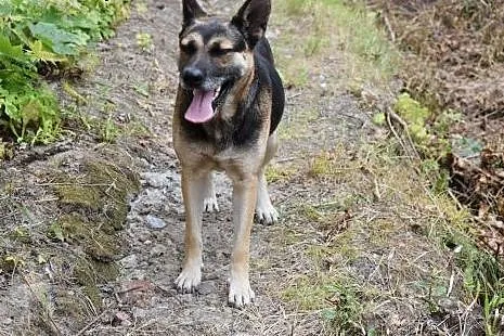 Maja, sunia niepotrzebna nikomu, najcudowniejszy p