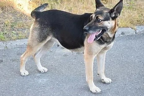 Maja, sunia niepotrzebna nikomu, najcudowniejszy p