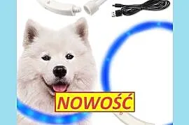 OBROŻA ŚWIECĄCA LED DLA PSA I KOTA REGULACJA 70cm