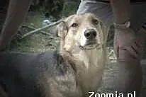 Gumdi polecany dla rodziny z dziecmi