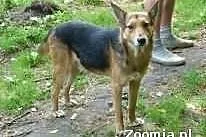 Gumdi polecany dla rodziny z dziecmi
