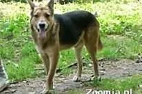 Gumdi polecany dla rodziny z dziecmi