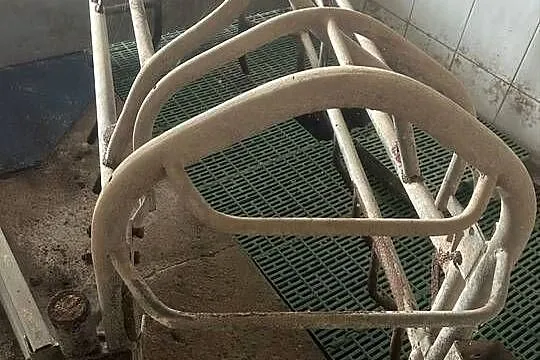 Sprzedam kojec porodówki, Łódzkie, Głuchów