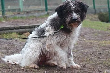 Cudo.Wierzyć to znaczy ufać,kiedy cudów nie ma.,  