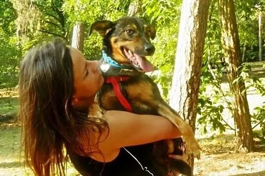 Argo- tylko pies potrafi TAK kochać! Daj mu szansę