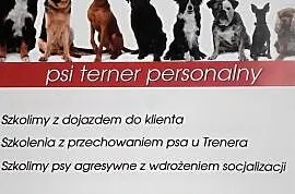 Tresura-szkolenie psow-malopolska i slask, Siemianowice Śląskie