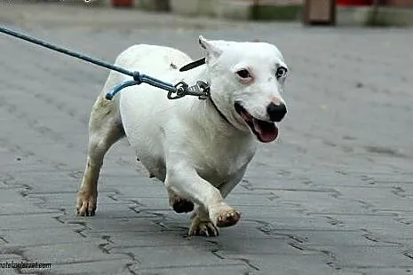 Ava - malutka dziewczynka czeka na Ciebie w schron