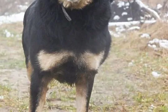 Przygarnij Morusa i zmień jego świat na lepsze!