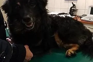 Baros ledwie uszedł z życiem teraz potrzebuje koch