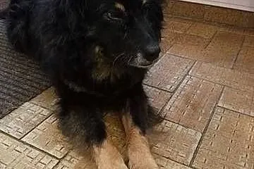 Baros ledwie uszedł z życiem teraz potrzebuje koch