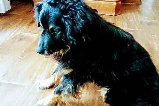 Baros ledwie uszedł z życiem teraz potrzebuje koch