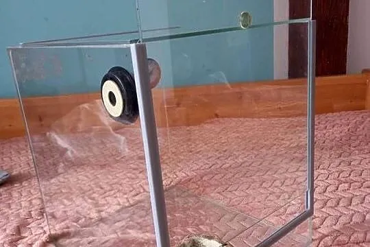 Terarium.