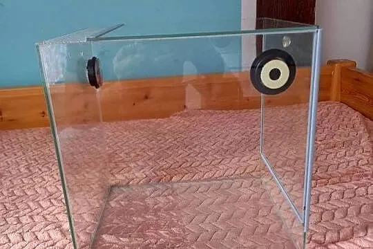 Terarium., Lubuskie, Gorzów Wielkopolski