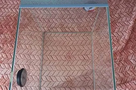 Terarium., Lubuskie, Gorzów Wielkopolski