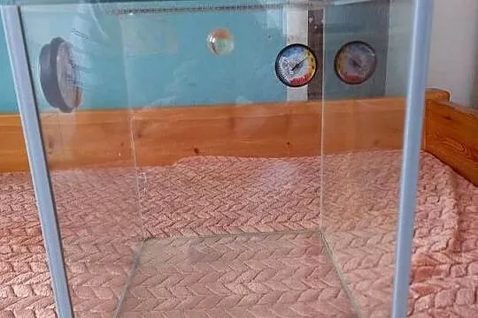 Terarium., Lubuskie, Gorzów Wielkopolski