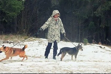 CZAKO pies o którym zapomniał świat :(,  łódzkie Ł