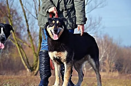 DALIA :) mądra, żywiołowa! Fantastyczna :) Ideał c