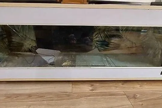 Terrarium
