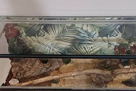 Terrarium, Śląskie, Tychy