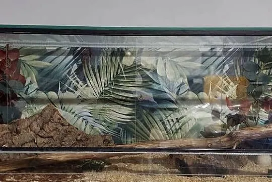 Terrarium, Śląskie, Tychy