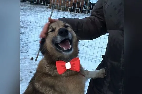 Wspaniała Kuleczka, łagodna z kochającym serduszki