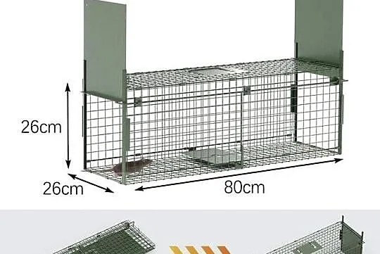 Żywołapka, humanitarna pułapka kuny lisy gryzonie 80x26x26, Wielkopolskie, Gniezno