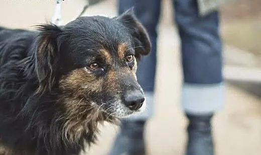 Cywil wypatruje swojego Człowieka. Może to TY?, ś