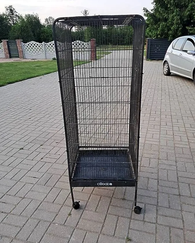 Klatka dla papug, Lubuskie, Popęszyce